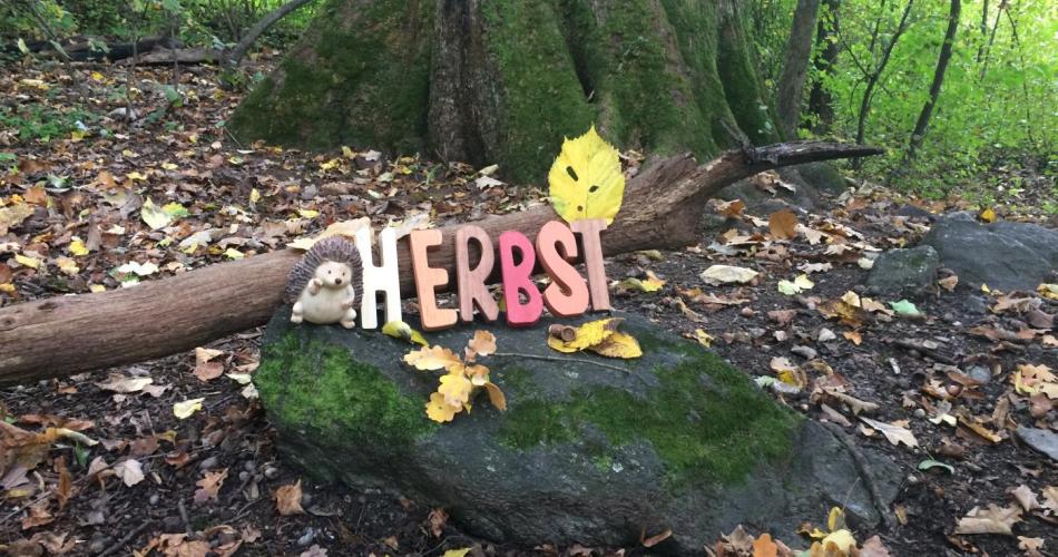Herbst-Buchstaben im Wald